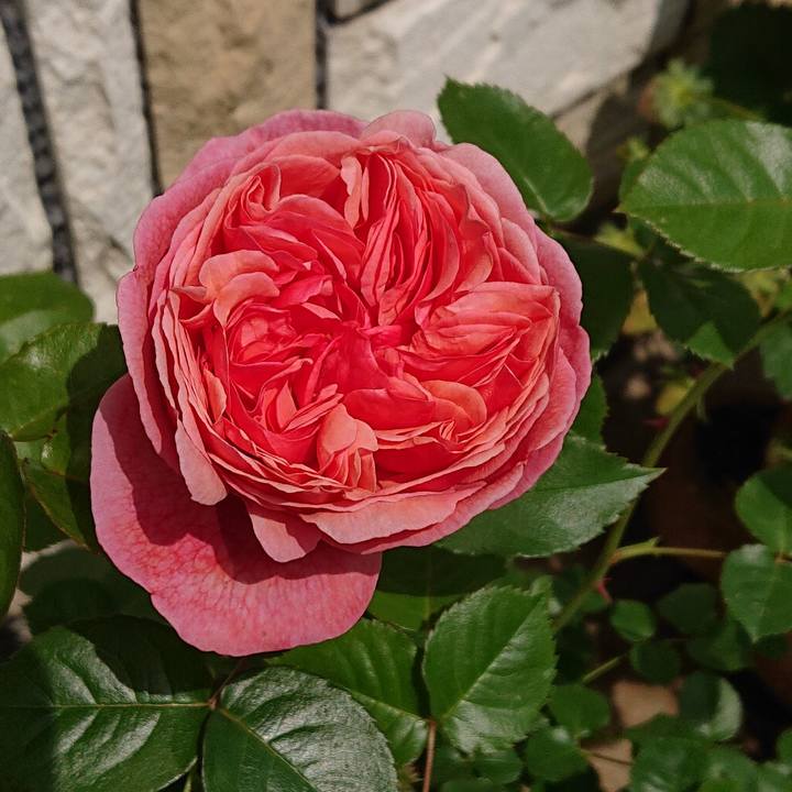 B2f69780 fbbc 4191 957b 143483dbbb1f 1618633854377