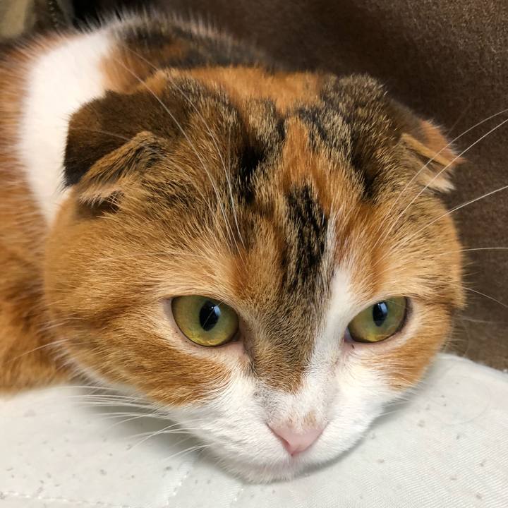 B2f6a79f 3740 4dde 8abf 47777efa63f1 1538286395651