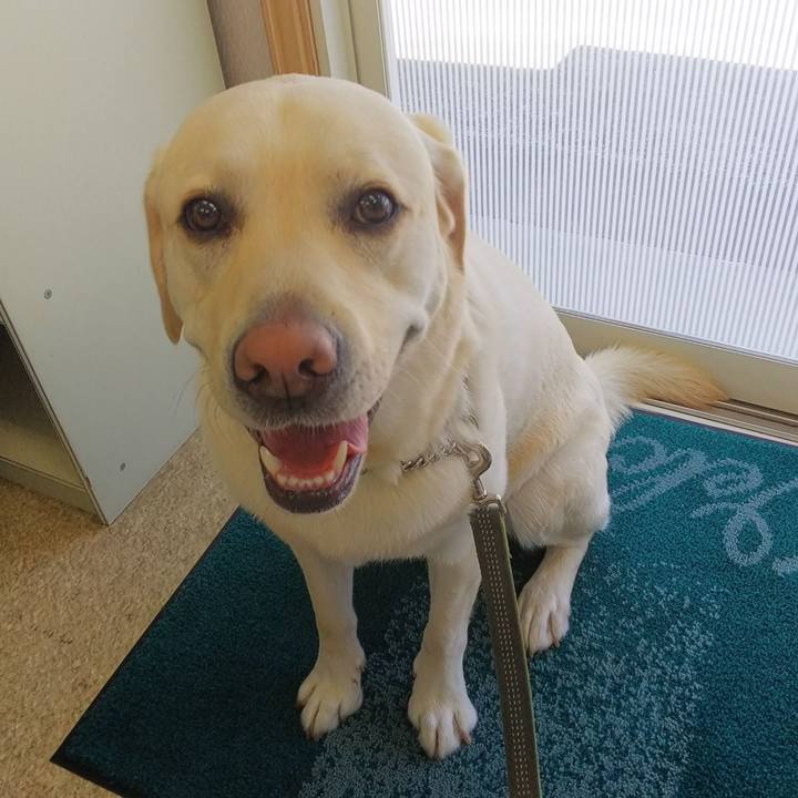 B2f6be52 0947 480f 9ad2 ec1295ec242c 1526265917507