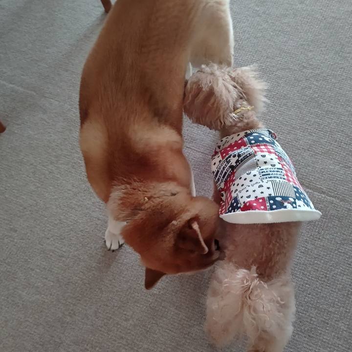 B2f6c3f8 eb17 42c8 8563 1bf3d39f7ce9 1612915952841