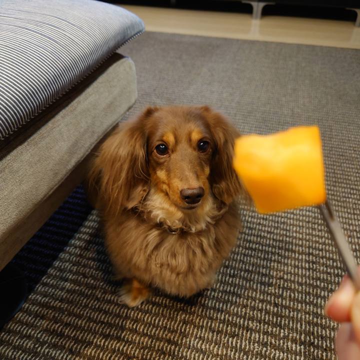 B2f6cf3f 851d 412f 94de 0672ed85aa19 1669174078789