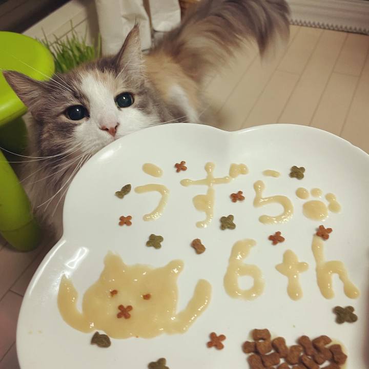 B2f6d928 ba5c 4106 ab42 2da0c6ce1c03 1684587734196