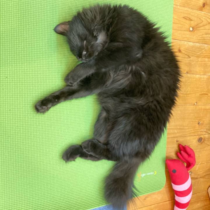 B2f70ec1 f5d8 47e2 a734 9abc4ef57cfa 1750244410168