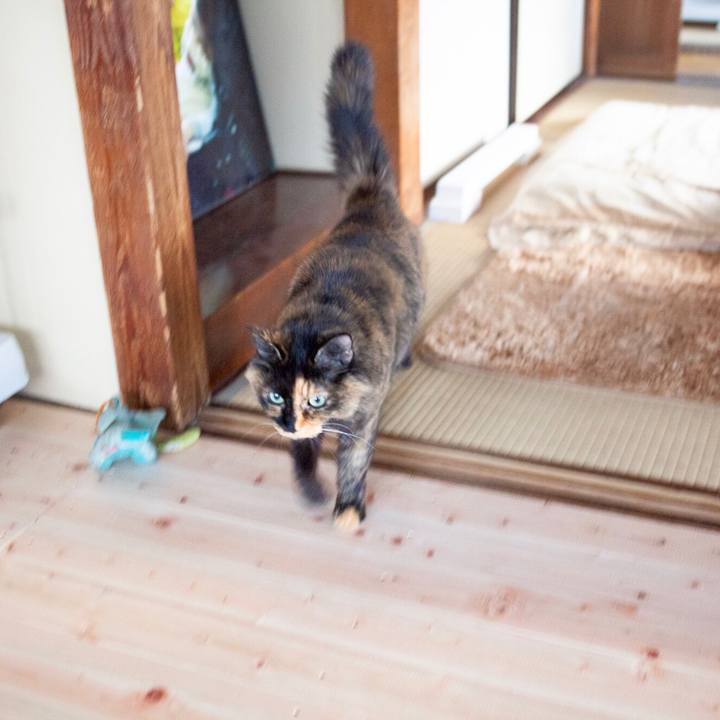 B2f75c80 9a8c 4451 9937 26b5457a8a10 1579744762822