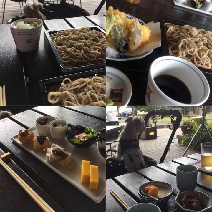 B2f766a9 5540 4336 bcb4 2b7067c170c0 1532767050249