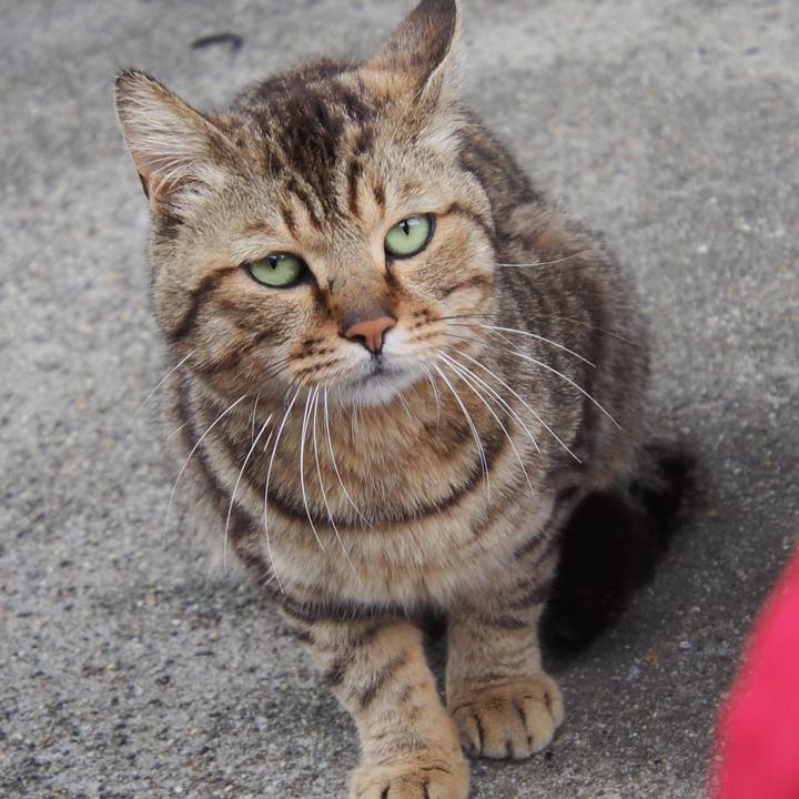 B2f7a3fa c2cc 4bd2 b9b0 0400ad4c1b5d 1625546143547