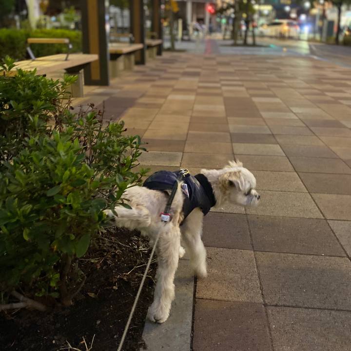 B2f7b230 b4fd 43b1 917b 6e49e4697ae1 1575371379361