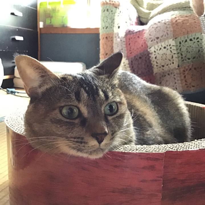 B2f7b7f9 98b5 4525 8c93 d6019195fd58 1629098266845