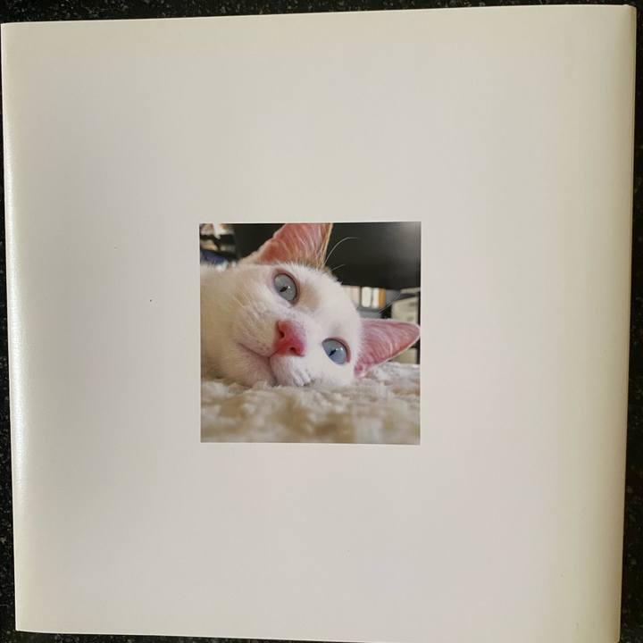 B2f80d4f 6afd 453f aecb f96c4db299d2 1665527578777