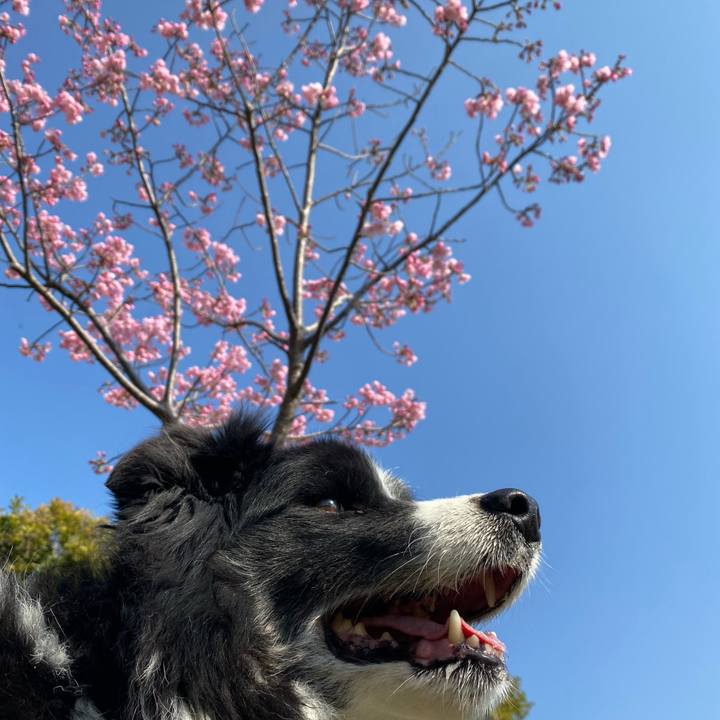 B2f874b9 88f3 4133 b768 ad0b8c4fe090 1679187314597