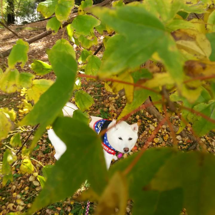 B2f89cc1 dbd0 47f1 a9af f722c6b204fc 1605503198312