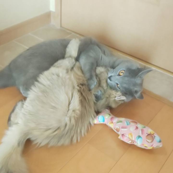 B2f8b6ec c362 4dd5 a380 dadbb39c75c0 1559008079093