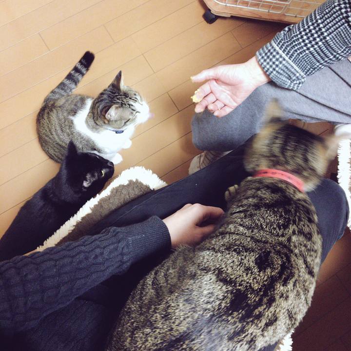 B2f8e954 00d5 497e bf04 90fc6bcc68ed 1512791912109