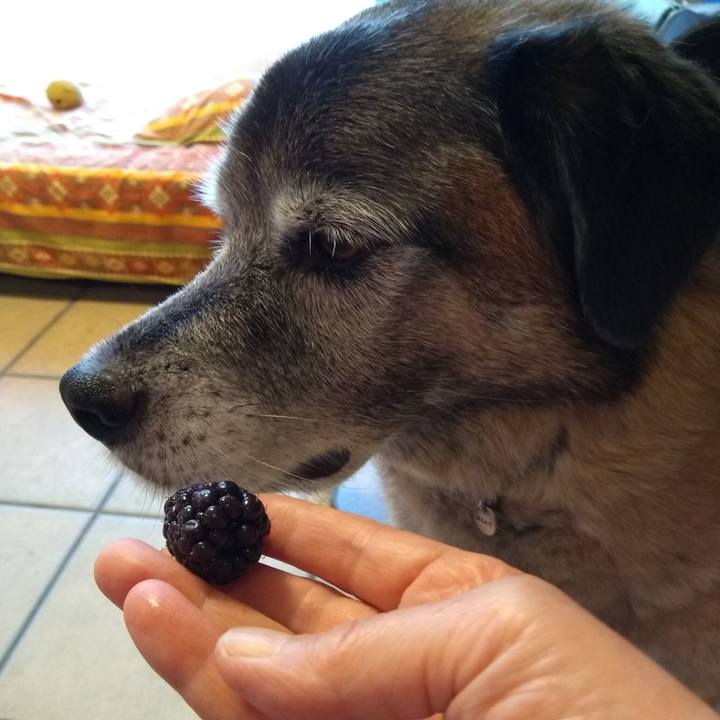 B2f8fa78 df4e 4e64 86d7 f809946b5de2 1561362497531