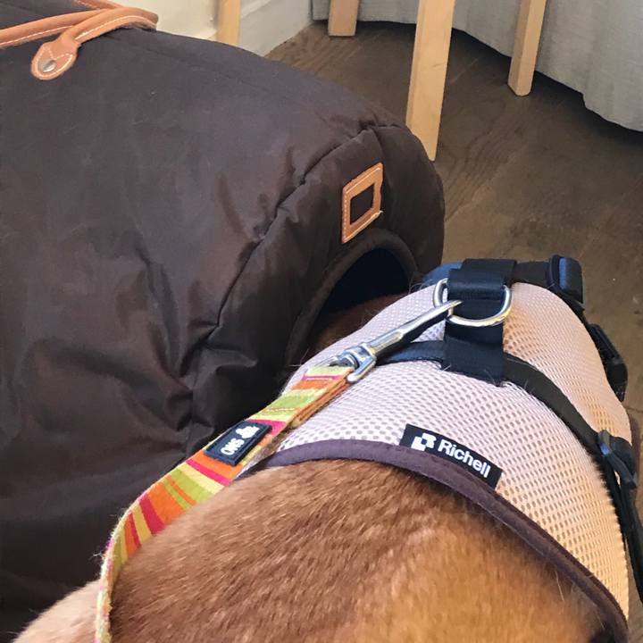 B2f90d2d 0584 48b1 a73f 4620cdd40b76 1524301598454