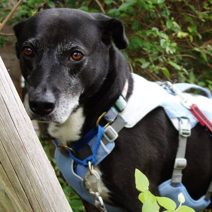 B2f96250 3d83 4935 855a bf8493fefc1e 1751845635958