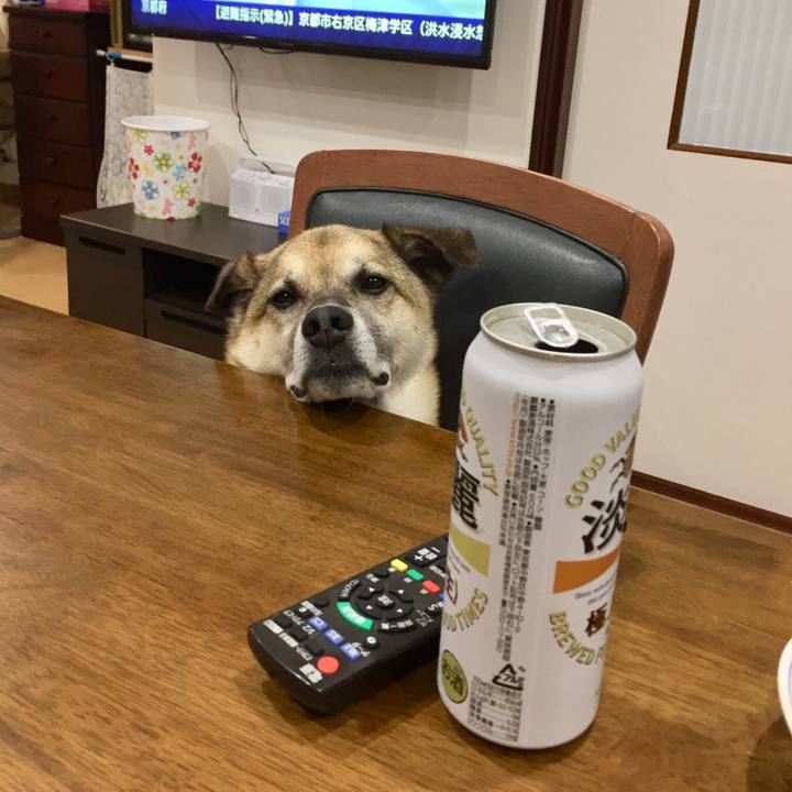 B2f96d1c 286a 411c b924 26e493d52767 1530789734144