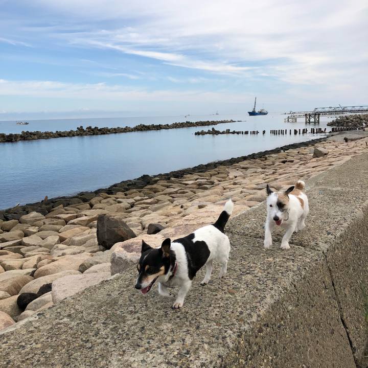 B2f99594 2814 481c aed7 19ada61b5750 1535845563182