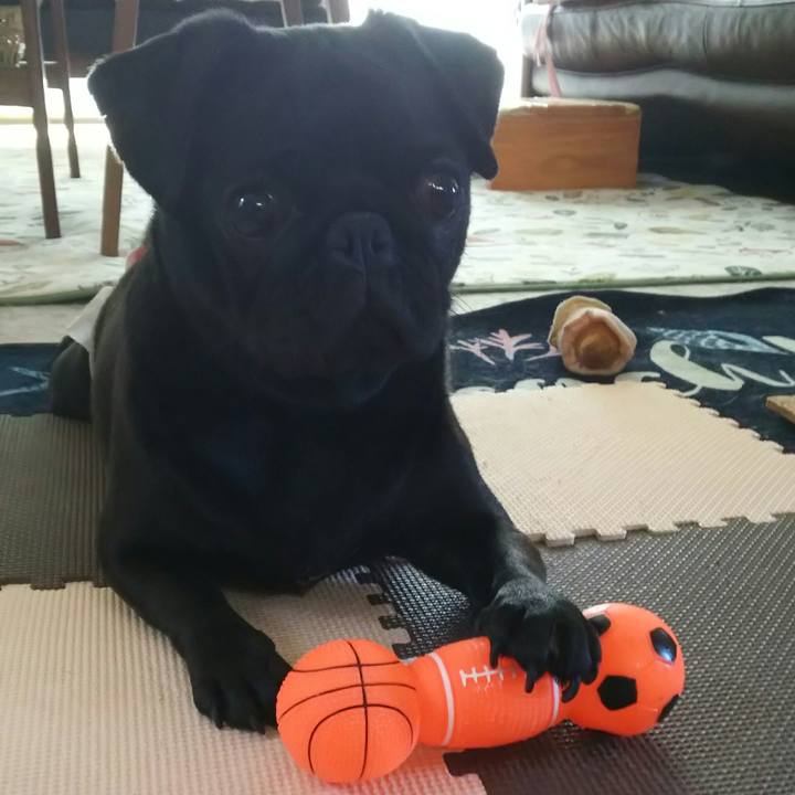 B2f996f1 78c5 4a85 81f3 b50add272183 1529814114597