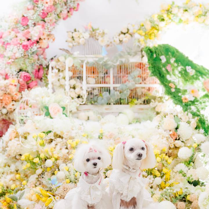 B2f9b9db f1cb 4e0d 891b f9436d3d12d0 1753798217563