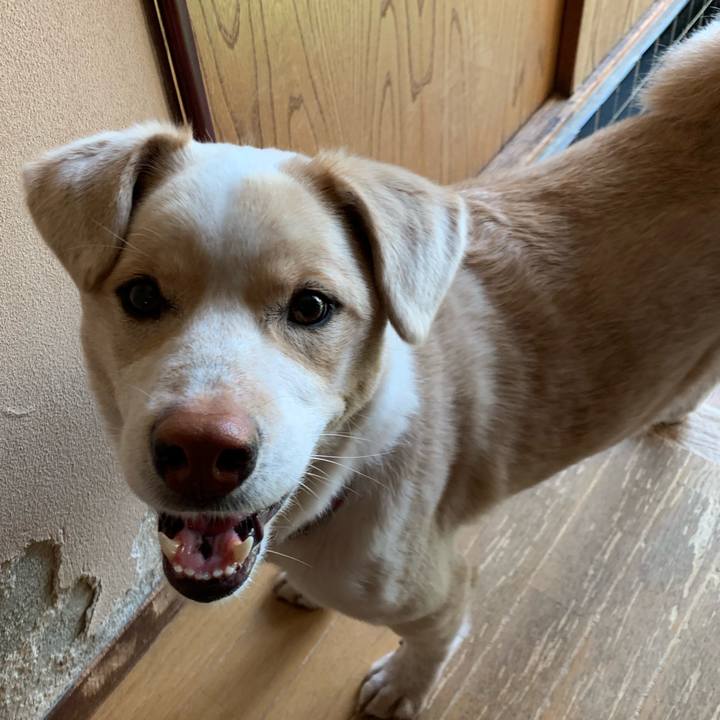 B2f9cebb 4fc7 4646 a220 b43b8af38268 1553994712363