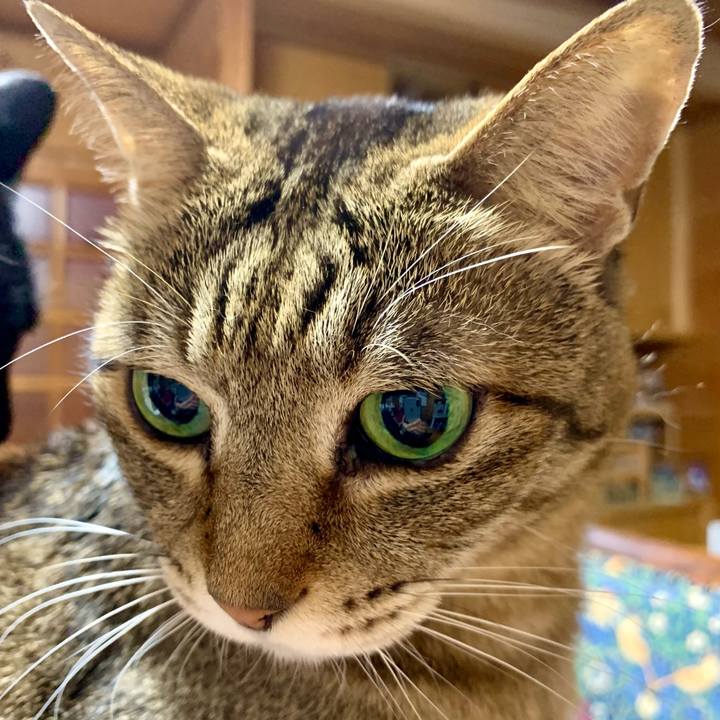 B2f9d82a d08a 4f08 a43c ec6c83acb318 1681565416174