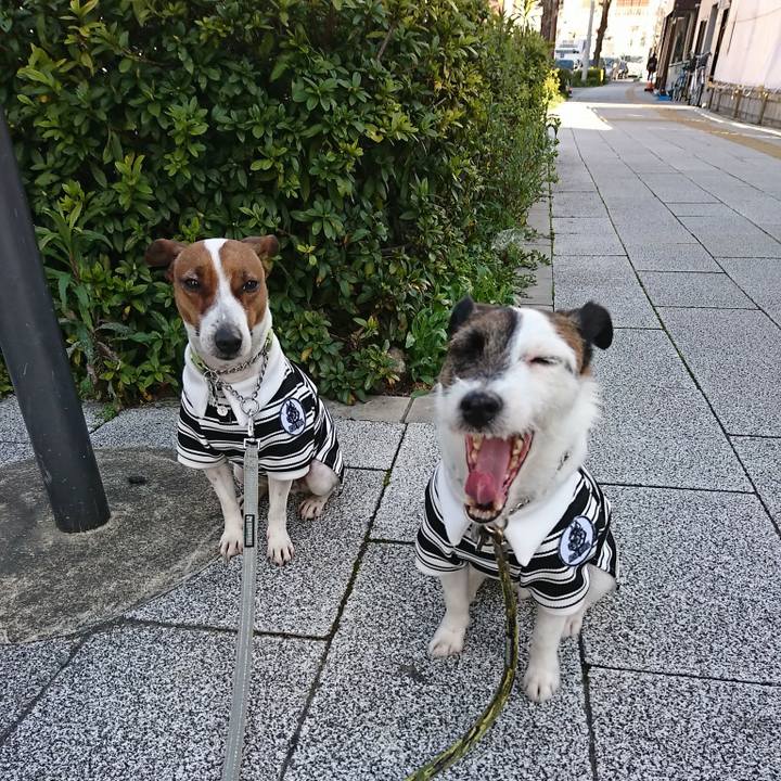 B2f9e1bd 2898 4863 b340 4161fdf3b685 1584573863730