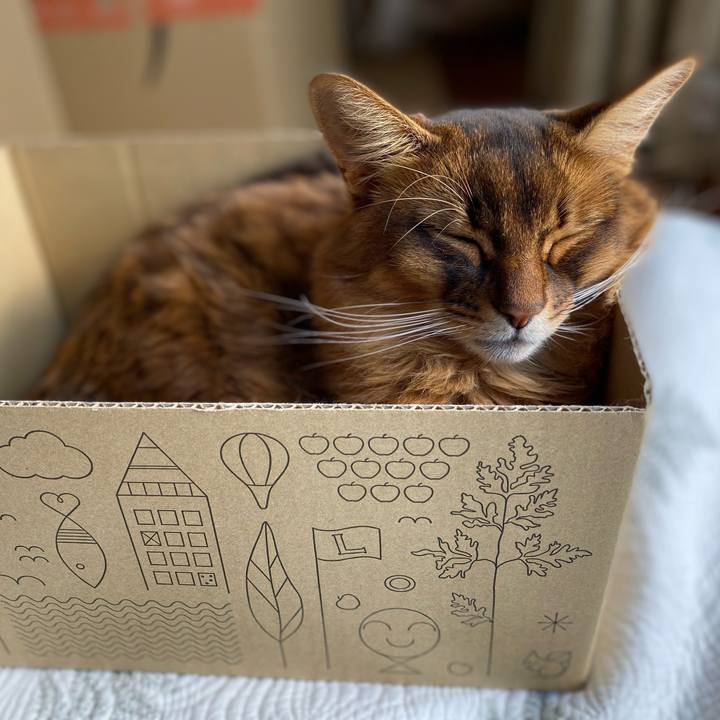 B2fa577d 716b 48bc a1e0 b68b7395bf29 1735881147754