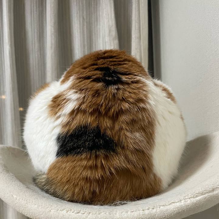 B2fa9fea c797 4692 8cae 26afd95bf167 1765706260141