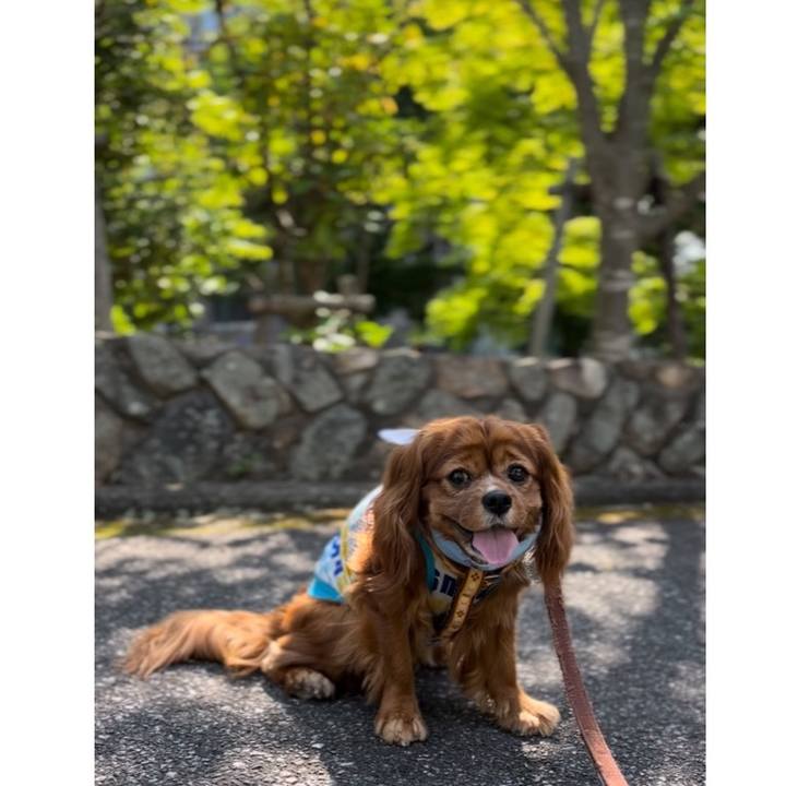 B2fabeab 2529 4d4e 82dd 3e3ac1cfa48b 1654991720663