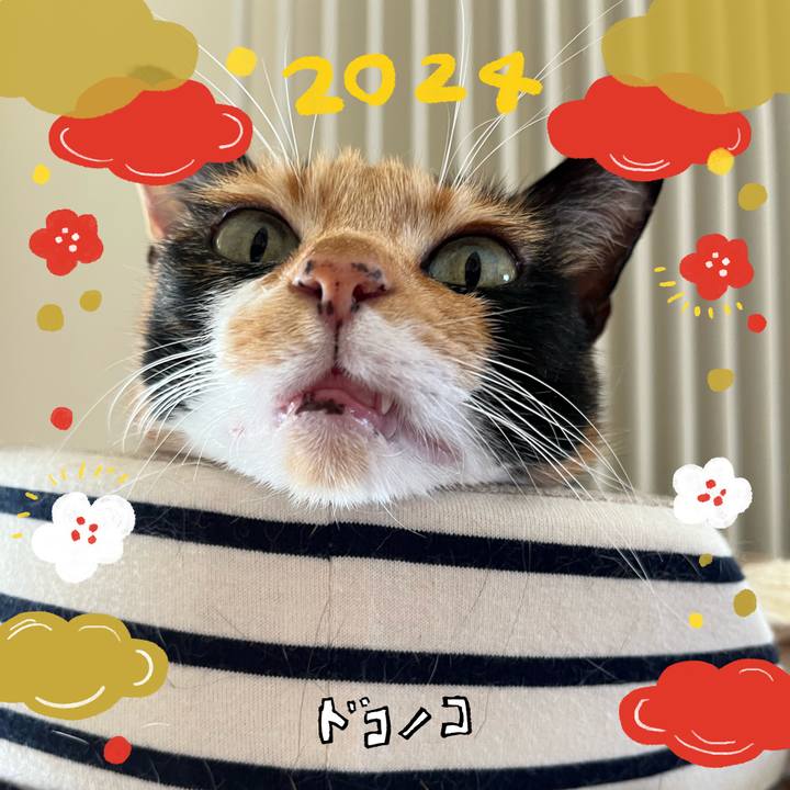 B2fae839 2f8c 42f9 b9ad cb50f5337c19 1704202858614