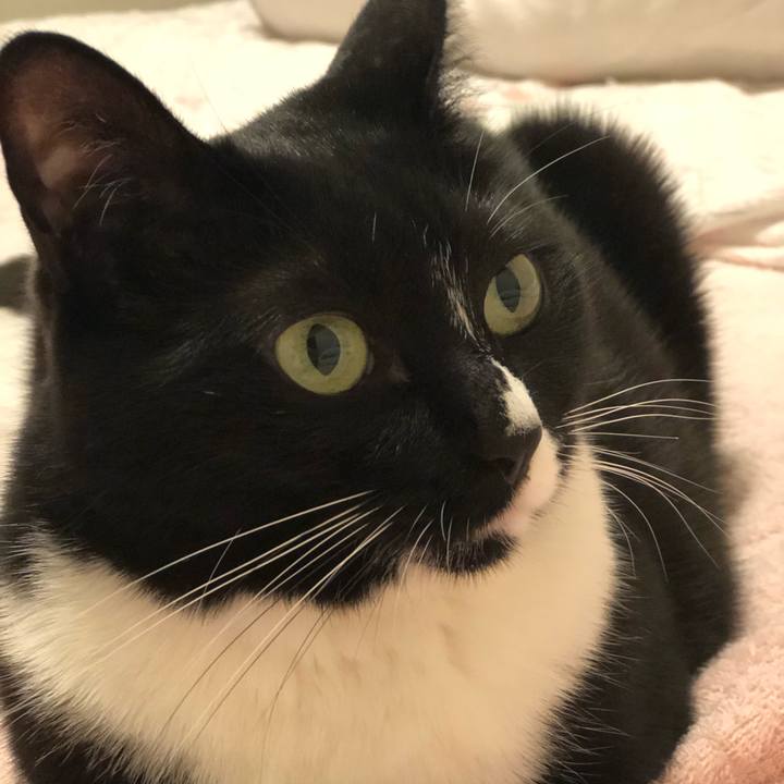 B2fb0e83 5293 489a a78e 0516d37fee18 1562794488660