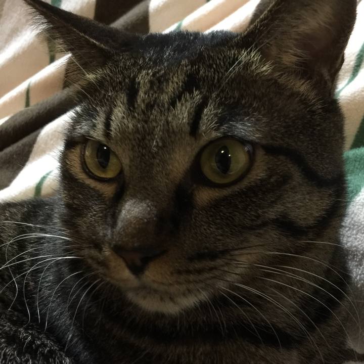 B2fb172f 997f 4fc4 be2e 0cee08e1b3c6 1600343315898