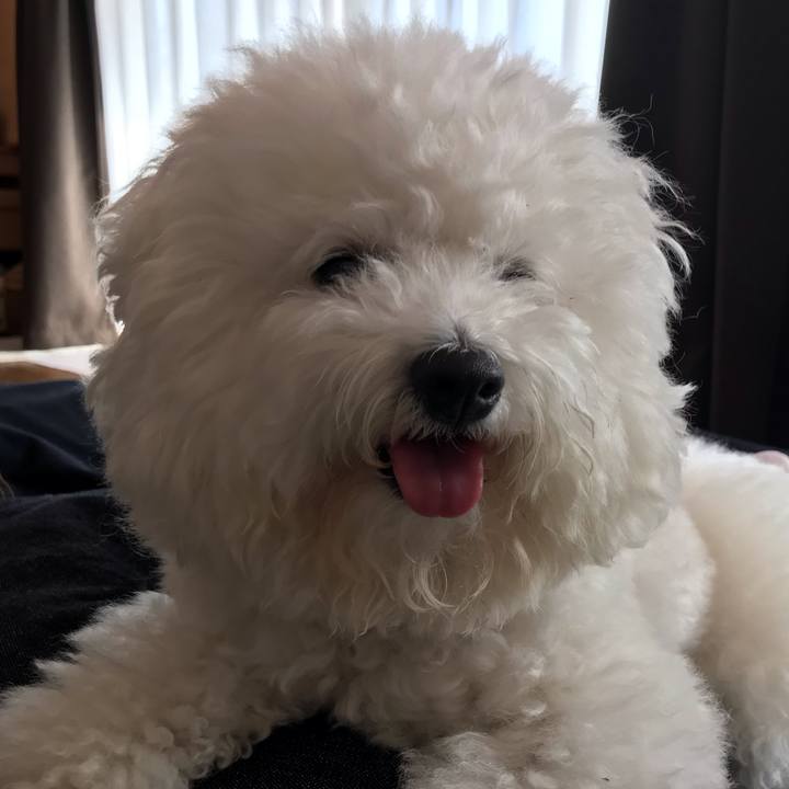 B2fb372f dd86 49eb a7a7 481da3b8bec9 1574135150352