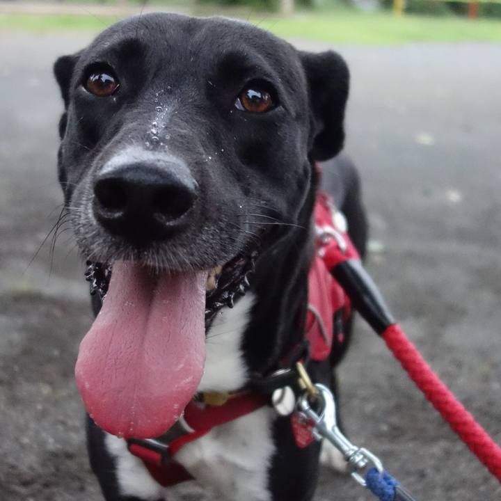 B2fb3d48 864c 4505 9ec1 6c140f026215 1593080150409