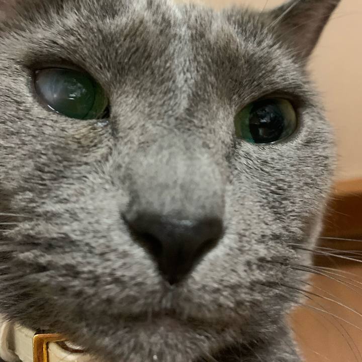 B2fb46a3 55a6 4f80 9822 6e7356c91354 1625882022060