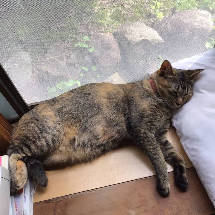 B2fb625a ca4e 43bd 92db 923a01720054 1596765550086