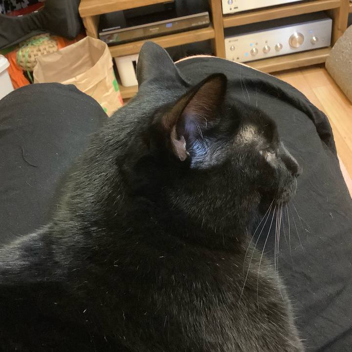 B2fb66ab f15a 484e b199 97fafebe8665 1568644262598