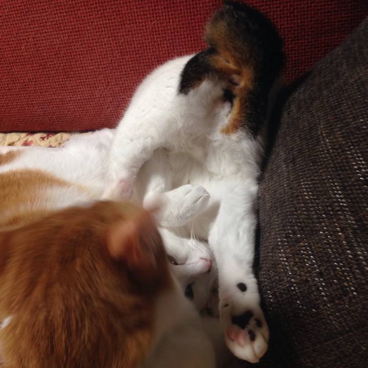 B2fb6c48 b075 41c7 b7a5 57210537f4aa 1510646598184