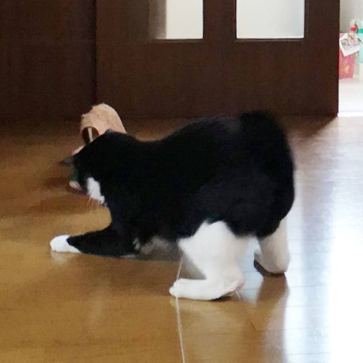 B2fb7d53 1718 4629 b38c cac78095edb0 1584950260384