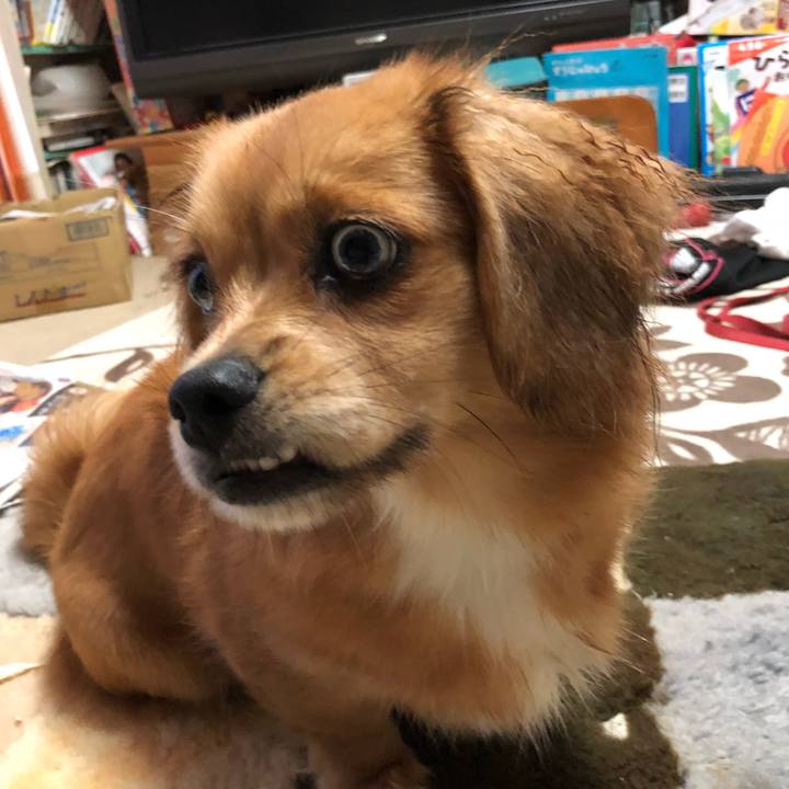 B2fbabdf eae2 4e88 a605 d53d89fe1852 1508104438647