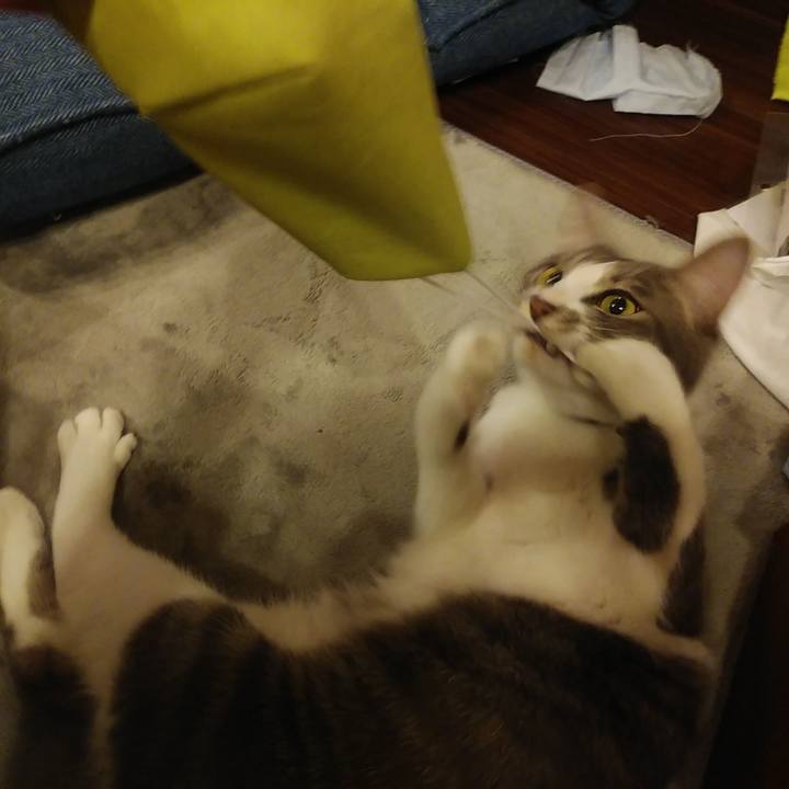 B2fbbf21 e759 41a0 9b9c d887ebaf8865 1591095184975