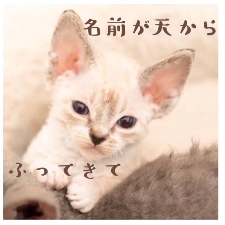 B2fbc9ef 16b3 4a90 8348 5149bccbce21 1585991712625