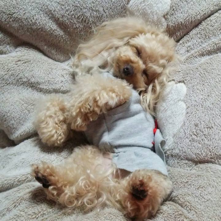 B2fc5dfa e354 45e8 b0dc 1fa5f6291a56 1522330024371