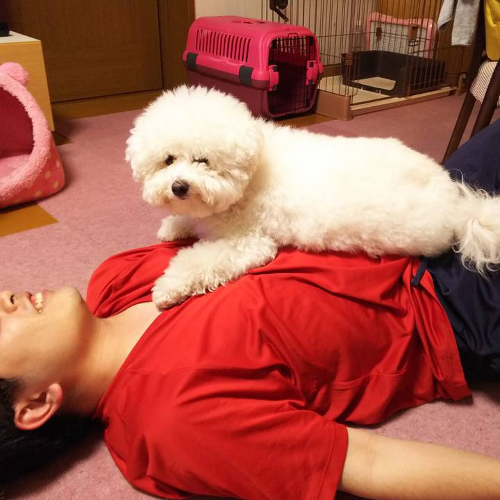 B2fc9daa 7646 499b b814 2b485b34b3df 1527418415046