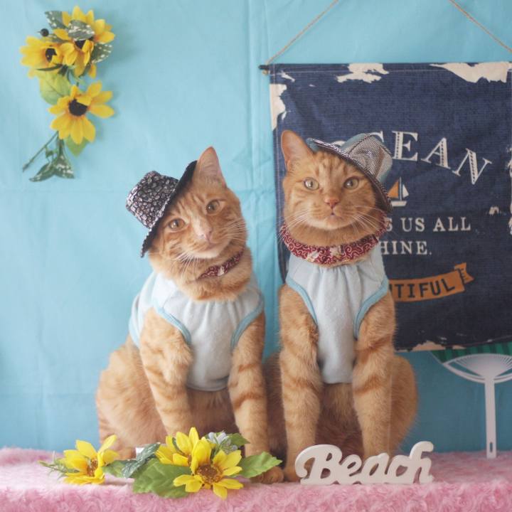 B2fc9e79 de4b 4a43 b7ac 06896c10ada4 1723607386568