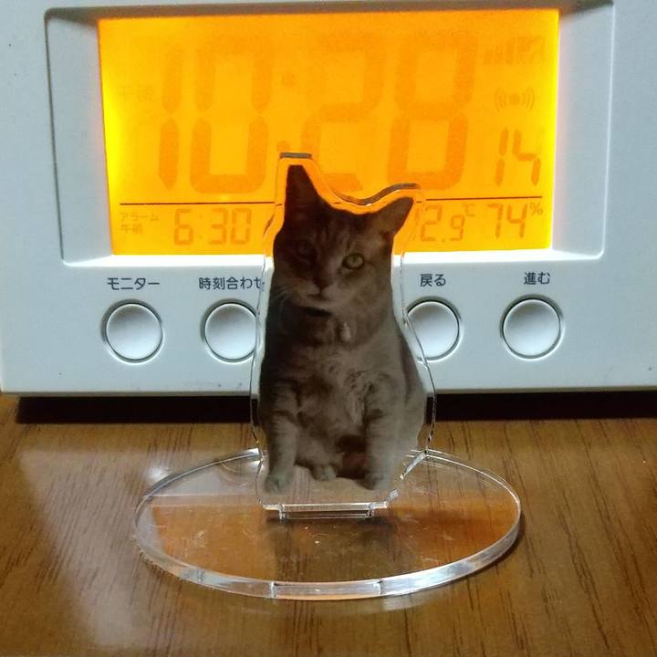 B2fc9f47 e89d 471c 90f9 b3327f0af9f5 1732109465013