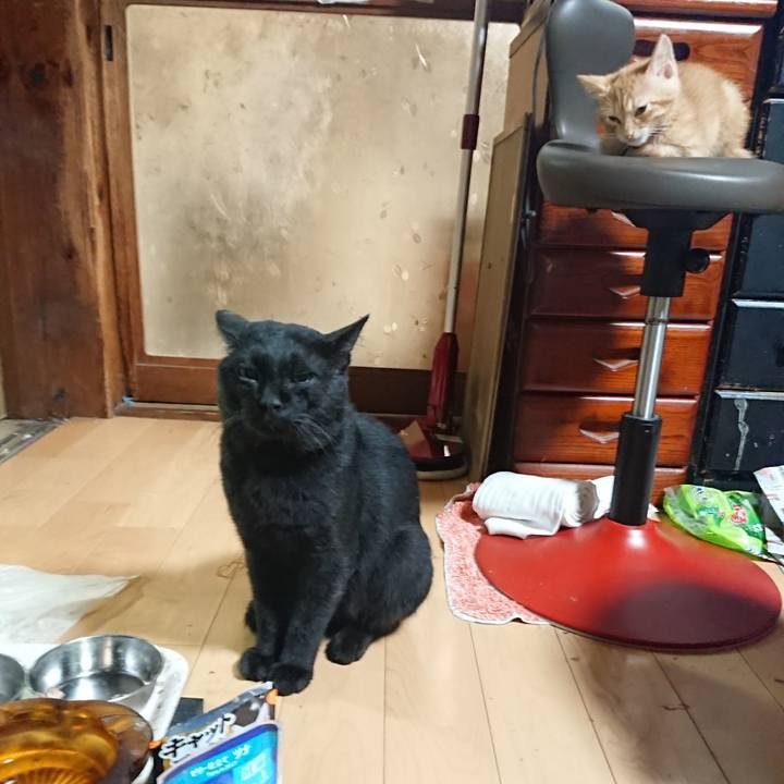 B2fcdc35 7b45 4cf8 9ae0 e75d104f2c20 1629724243286