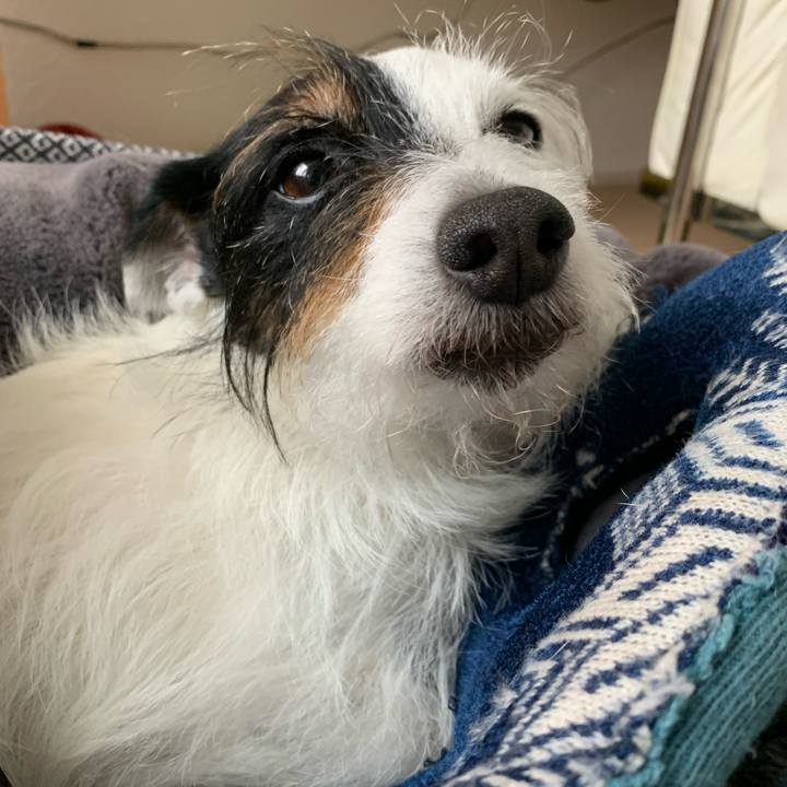 B2fd085d a0c1 4b6a a9d2 a23a72f12346 1686270310498