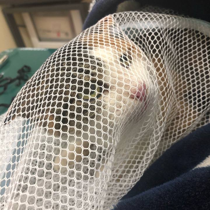 B2fd10e7 aedb 460a a2c7 780c485f9131 1572420999455